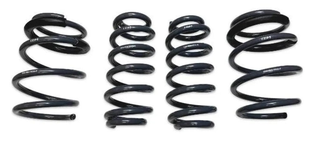 034 Motorsports Dynamic+ Lowering Springs for Audi RS3 2023-2025, 1" Front, 0.75" Rear